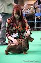 Crufts2011_2 1197